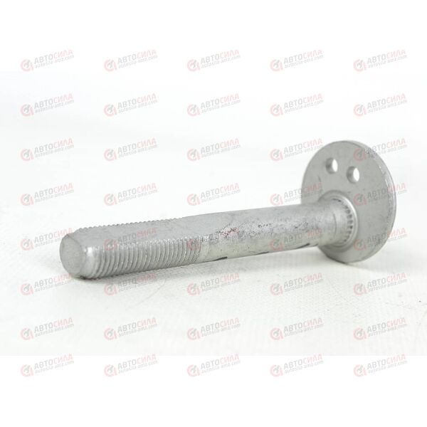 Эксцентрик (A21-2919213) CHERY