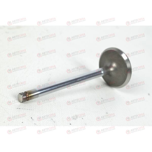 Клапан Ланос 1,5 8V впускной (1 шт) SHINHAN, изображение 3