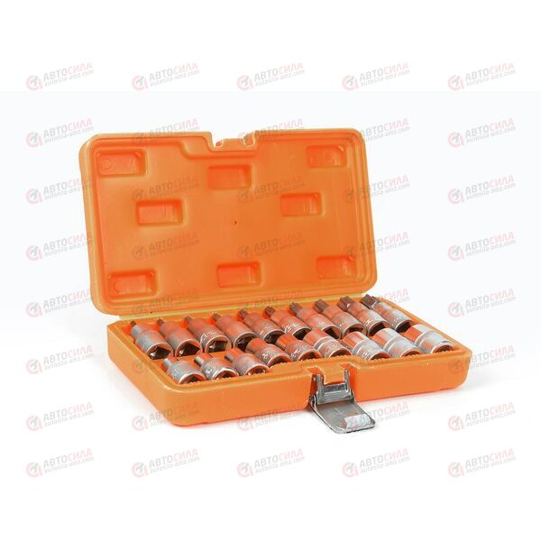 Набор головок 1/2 дюйма DR TORX Е10 х Е24 и гол.с вствк TORX T20-T70 55мм (19 шт) (в пласт кейсе) AIRLINE, изображение 2