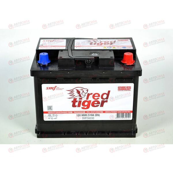 Аккумулятор 60VL RED TIGER (R+) (0) SMF (пт 510)(242х175х190) ТУРЦИЯ, изображение 4