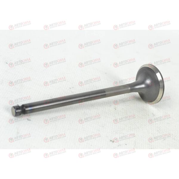 Клапан выпускной (22212-33000) OEM, изображение 2