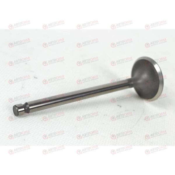 Клапан впускной SHINHAN (22211-26600) OEM, изображение 2