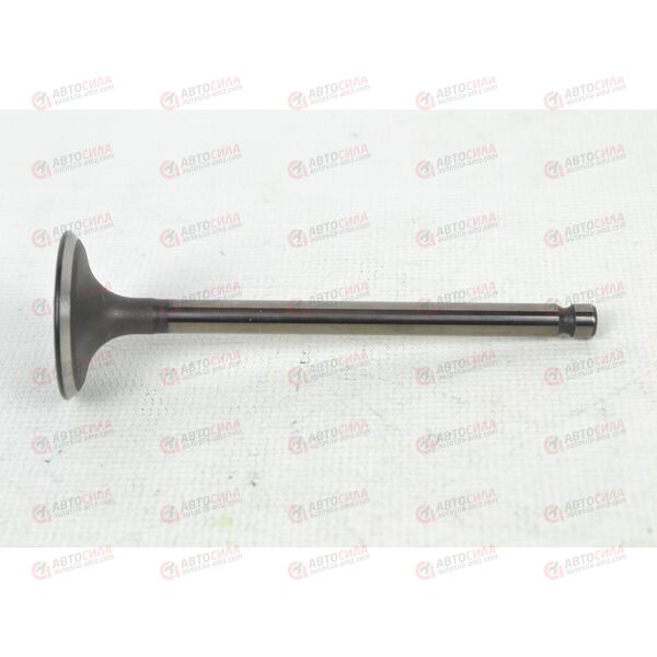 Клапан впускной SHINHAN (22211-26600) OEM, изображение 3
